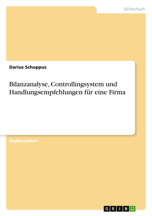 Buch Bilanzanalyse, Controllingsystem und Handlungsempfehlungen für eine Firma 