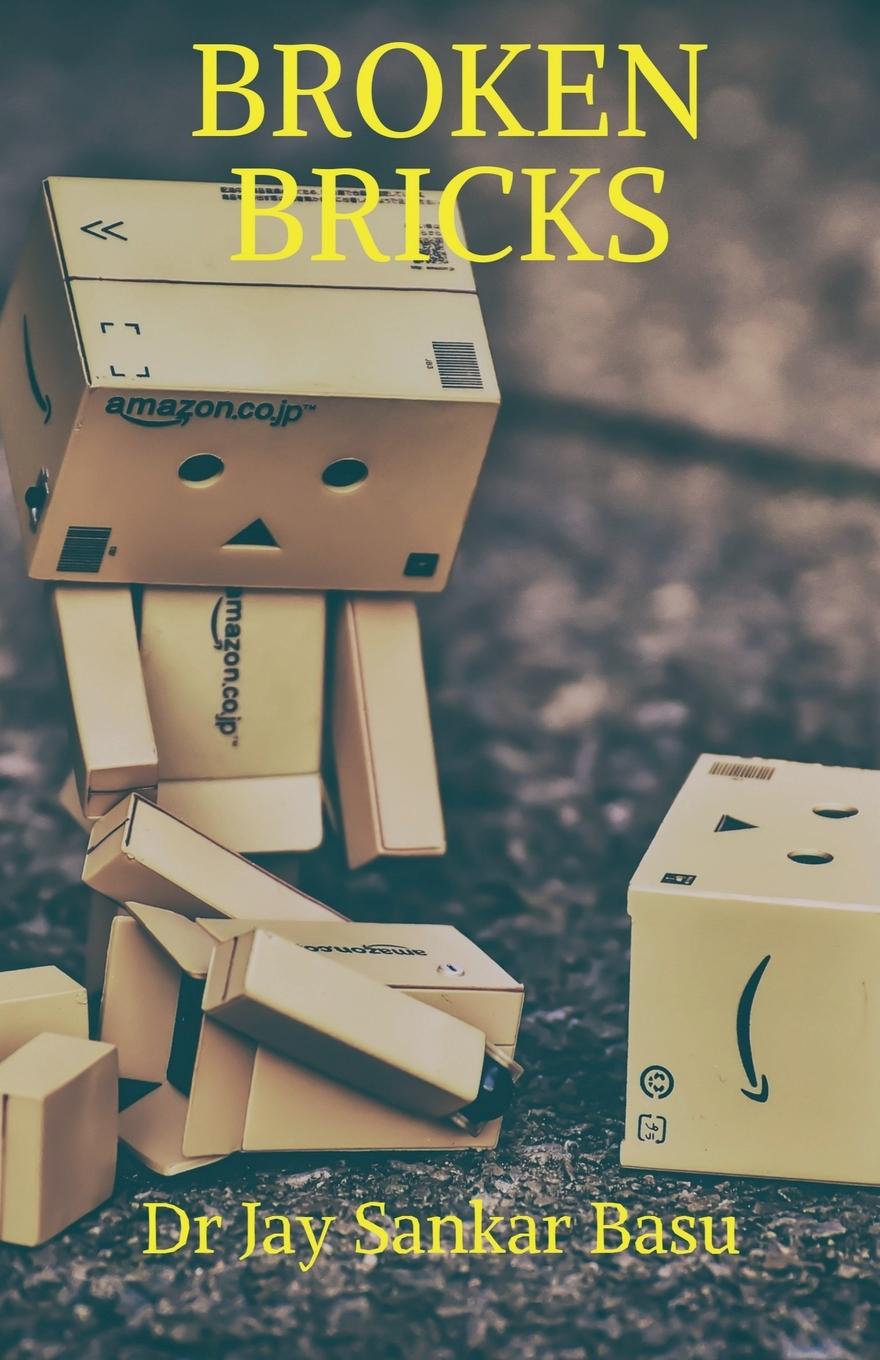 Knjiga BROKEN BRICKS Dr. Jay