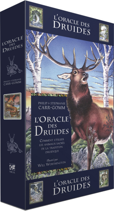 Kniha L'oracle des druides Philip Carr-Gomm