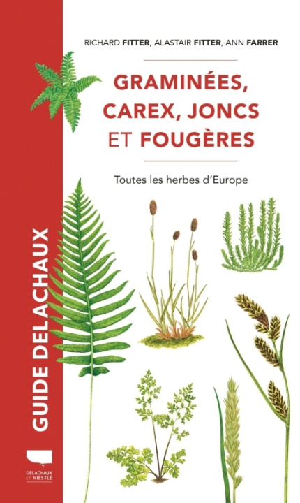Книга Graminées, carex, joncs et fougères Ann Farrer
