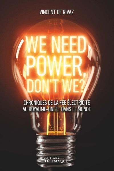 Knjiga We need power Vincent de Rivaz