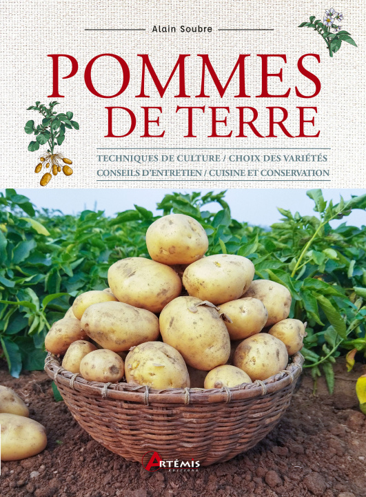 Kniha Pommes de terre Soubre alain