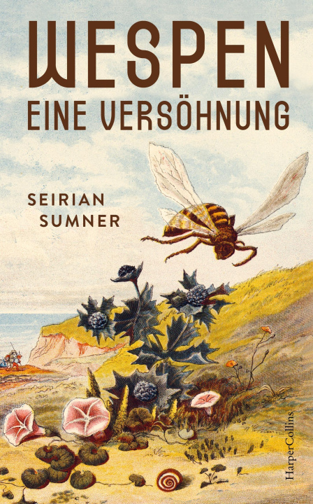 Carte Wespen - Eine Versöhnung Andrea Schmittmann