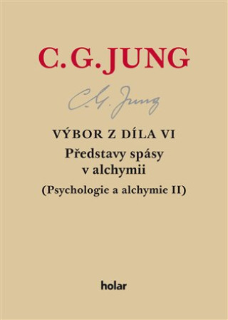 Book Výbor z díla VI Carl Gustav Jung