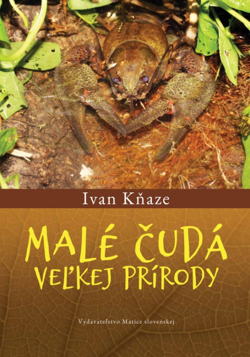 Book Malé čudá veľkej prírody Ivan Kňaze