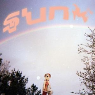 Zvok Sunk Babehoven