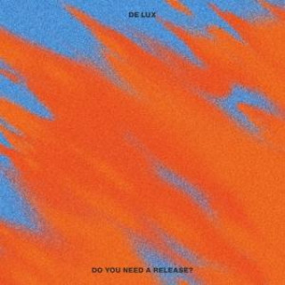 Zvok Do You Need A Release? De Lux