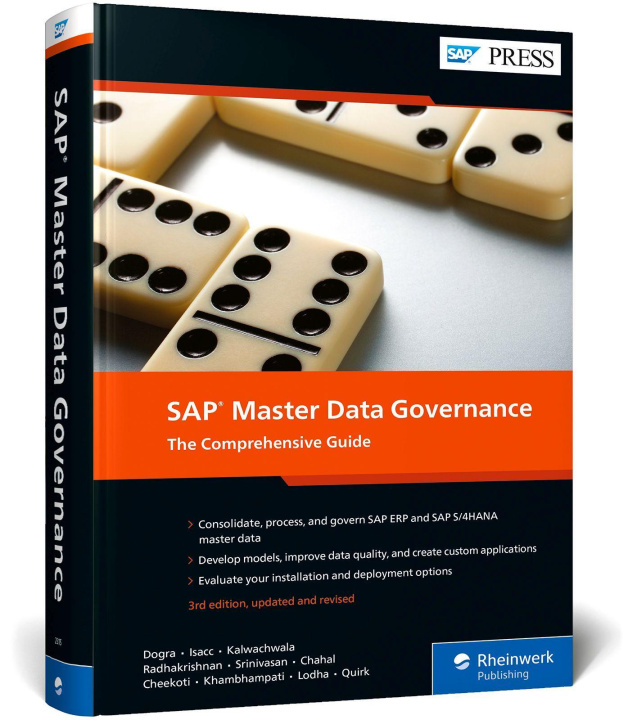Könyv SAP Master Data Governance David Quirk
