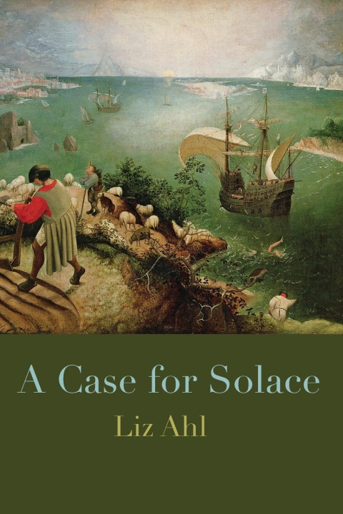 Knjiga A Case for Solace Eileen Cleary
