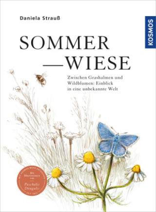 Kniha Sommerwiese Paschalis Dougalis