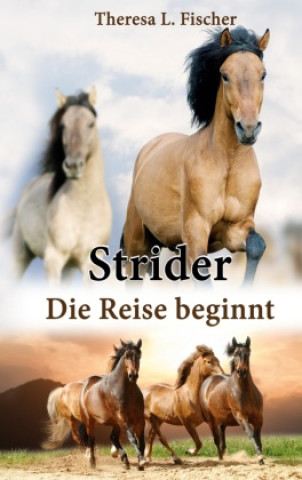 Knjiga Strider Theresa L. Fischer