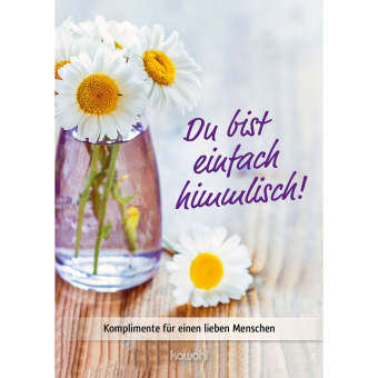 Buch Du bist einfach himmlisch 