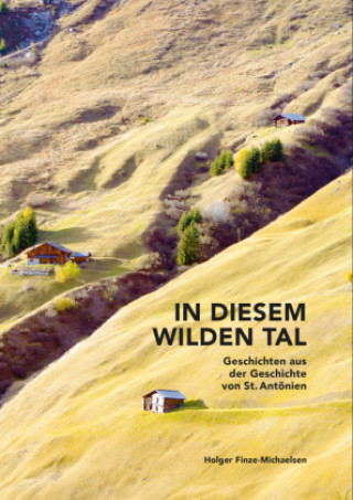 Book In diesem wilden Tal Holger Finze-Michaelsen
