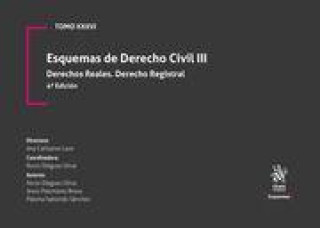 Kniha Tomo XXXVI Esquemas de Derecho Civil III. Derechos Reales. Derecho registral 4? Edición 