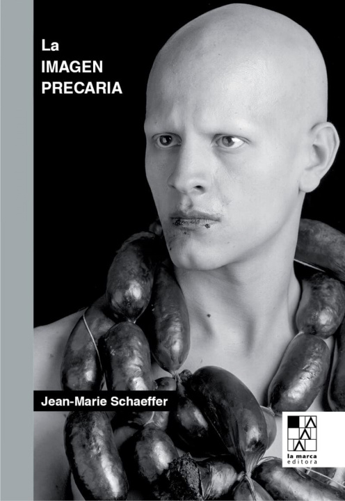 Kniha IMAGEN PRECARIA,LA SCHAEFFER