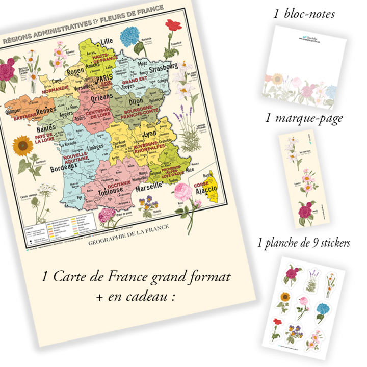 Carte Carte de France Vintage - Régions administratives et fleurs de France - Affiche A1 