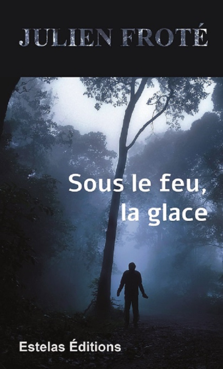 Boek Sous le Feu, la Glace Froté