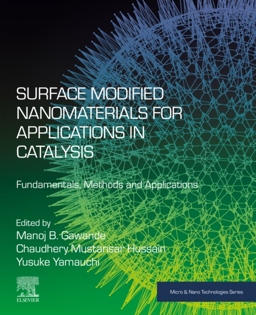E-kniha Surface Modified Nanomaterials for Applications in Catalysis Manoj B. Gawande