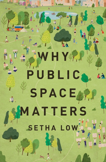 E-knjiga Why Public Space Matters Setha Low