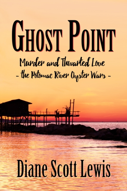 E-knjiga Ghost Point Diane Scott Lewis