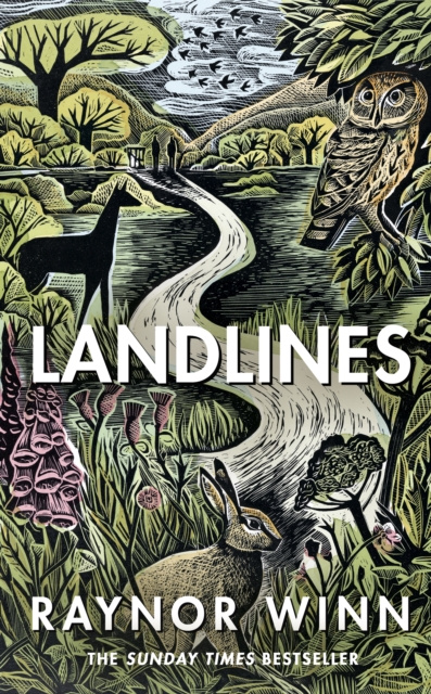E-book Landlines Raynor Winn
