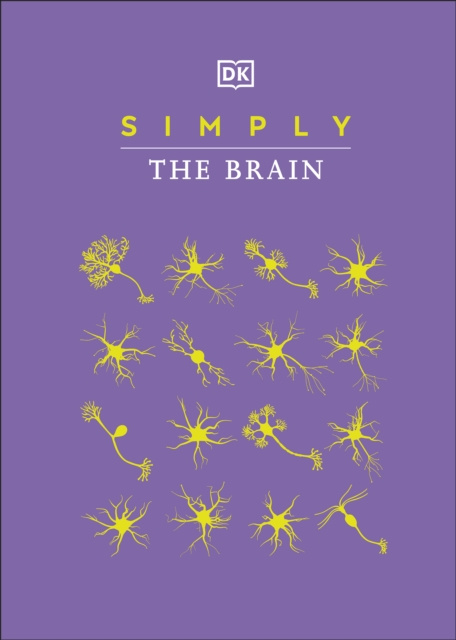 E-knjiga Simply The Brain DK
