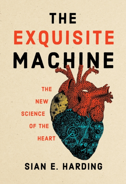 E-knjiga Exquisite Machine Sian E. Harding