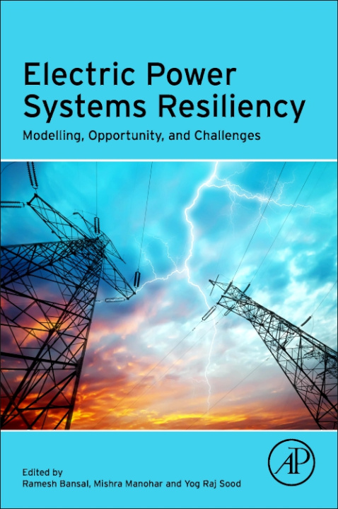 E-knjiga Electric Power Systems Resiliency Ramesh Bansal