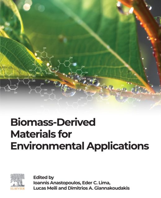 E-Book Biomass-Derived Materials for Environmental Applications Ioannis Anastopoulos
