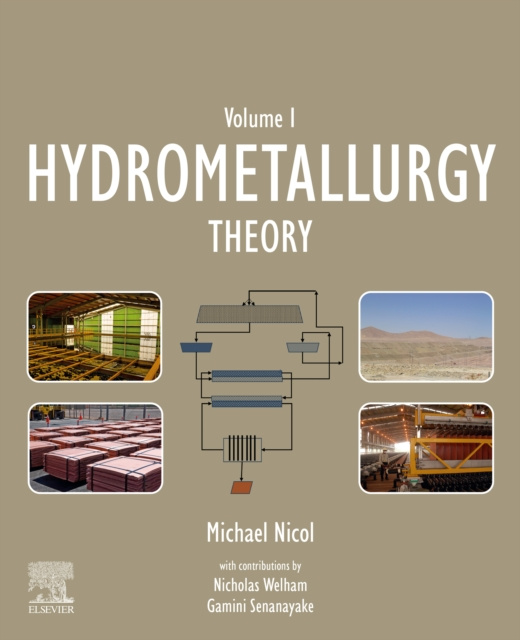 E-book Hydrometallurgy Michael Nicol