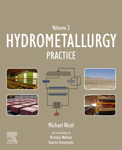 E-Book Hydrometallurgy Michael Nicol