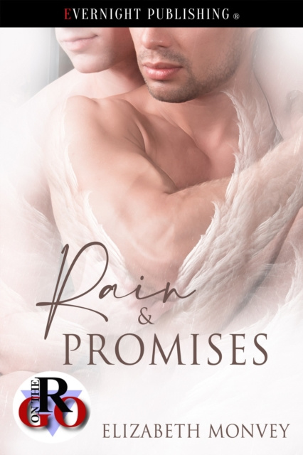 E-knjiga Rain & Promises Elizabeth Monvey