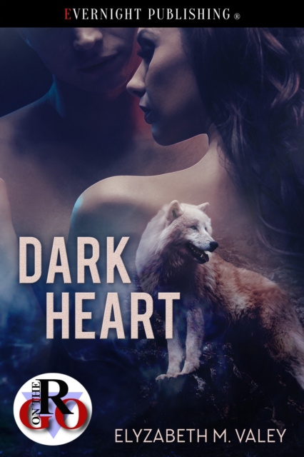 E-book Dark Heart Elyzabeth M. VaLey