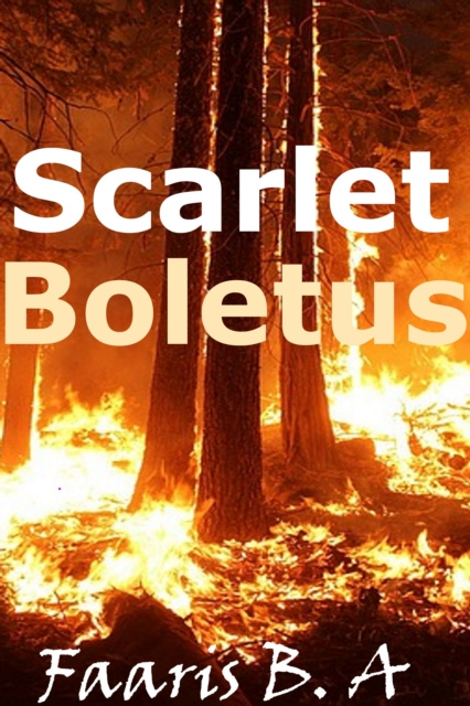 E-knjiga Scarlet Boletus Faaris B. A