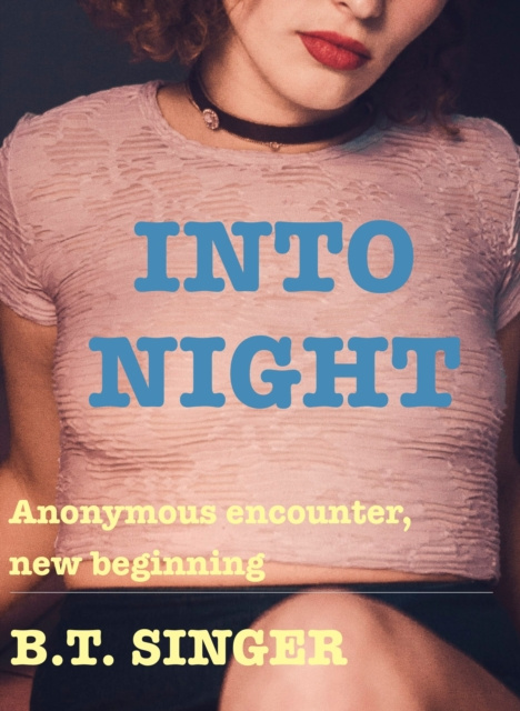 E-book Into Night B.T. Singer