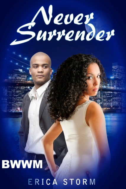 E-knjiga Never Surrender Erica Storm