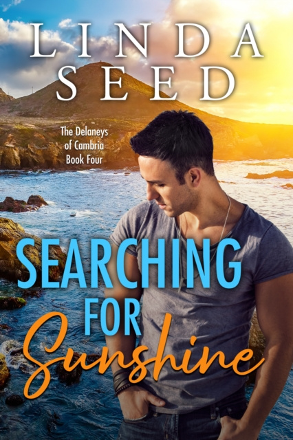 E-knjiga Searching for Sunshine Linda Seed