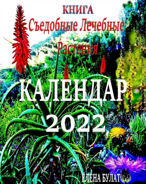 E-kniha .               N  2022. N NS          N        N       N    N   N N       N Elena Bulat