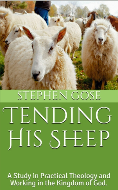 E-knjiga Tending His Sheep Stephen Gose