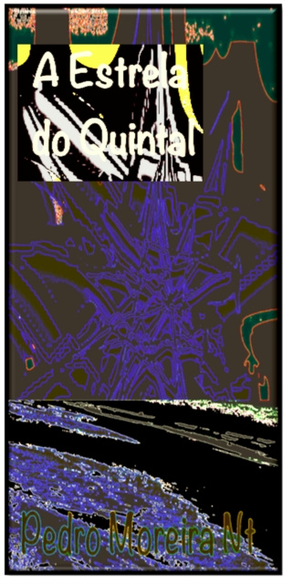E-book Estrela do Quintal Pedro Moreira Nt