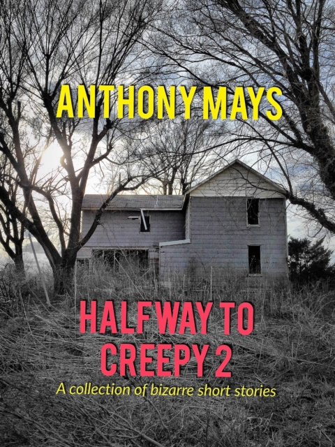 E-knjiga Halfway to Creepy 2 Anthony Mays