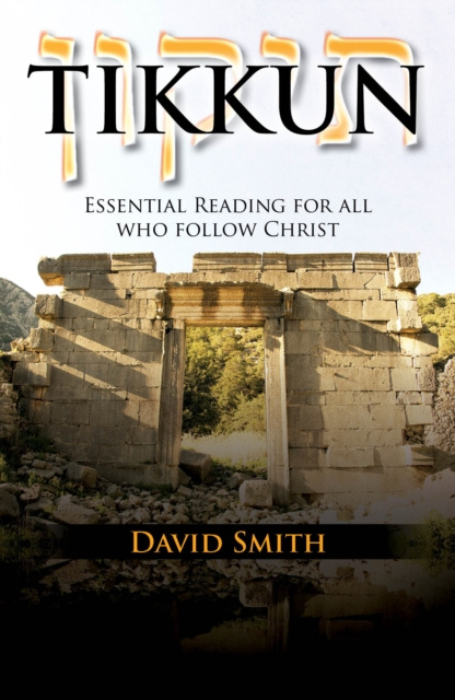 E-kniha Tikkun David Smith