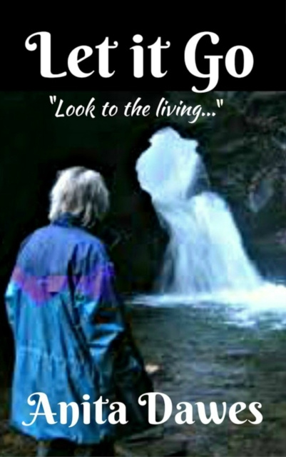 E-knjiga Let It Go Anita Dawes