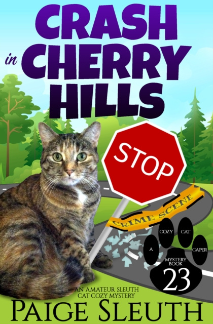E-knjiga Crash in Cherry Hills Paige Sleuth