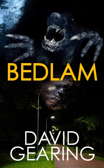 E-book Bedlam David Gearing