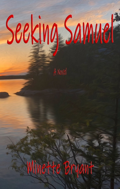 E-book Seeking Samuel Minette Bryant