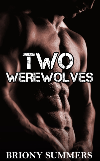 E-knjiga Two Werewolves Briony Summers