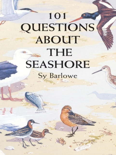 E-kniha 101 Questions About the Seashore Sy Barlowe