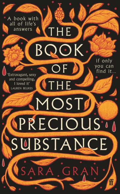 E-kniha Book of the Most Precious Substance Sara Gran