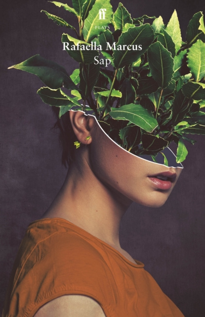 E-knjiga Sap Rafaella Marcus